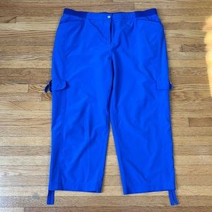 Chicos Blue Capri Pants
